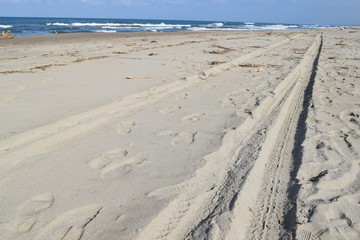 砂浜に付いた車輪の跡