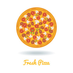 Vector flat style icon of pizza