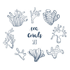 Set of hand drawn underwater coral reef elements. Vector design for your sea life illustration. Blue, pink, green, orange corals on white background.