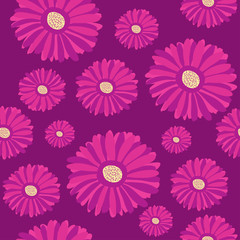 Fototapeta na wymiar Seamless pattern with purple gerbera flowers on dark background.