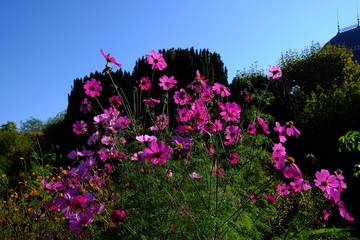 Dans le jardin d'automne à Paris, France