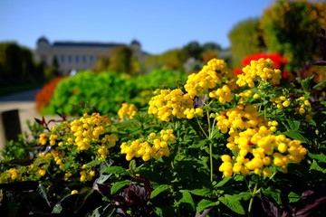 Dans le jardin botanique à Paris, France