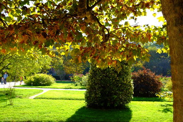 Dans le parc d'automne à Paris, France