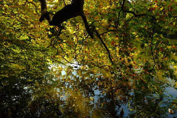 Automne à Paris, France