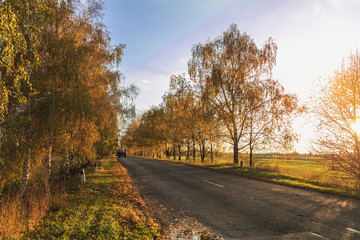 Empty autumn road along golden winter wheat fields at sunset