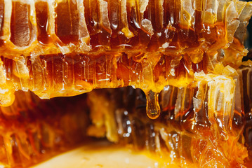 delicious juicy natural useful amber honey in honeycombs flows down slowly yellow  