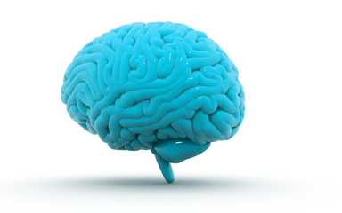 3d rendered Human Brain isolated on white background