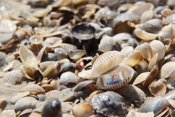 silver ring on the beach. a photo