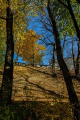 Przemyśl park. Jesień