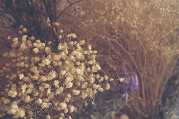 vintage Dry flowers decorated in coffee cafes.