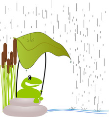 Frosch bei Regen am Teich sitzend