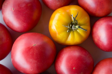 Yellow tomato around red tomatoes, broken pattern
