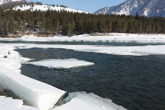 Ice melting on the river in the spring, Katun River, Ongudaysky district, Altai, Russia