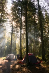 Foto op Plexiglas camping in forest with backlit © LIGHTFIELD STUDIOS