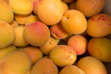 Close view of fresh ripe apricot fruits