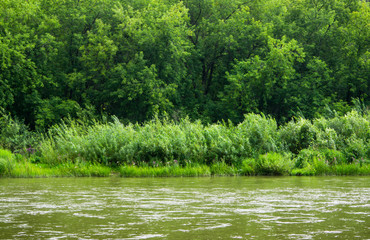 Calm river with forest on the other bank