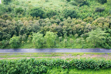 Fototapeta na wymiar Bird eye view of trail in an open green field 