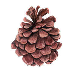 Watercolor pine cone for decoration.