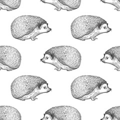 Seamless pattern with hedgehog. © marinavorona