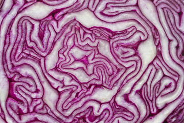 Obraz premium Red Cabbage. Red Cabbage pattern macro
