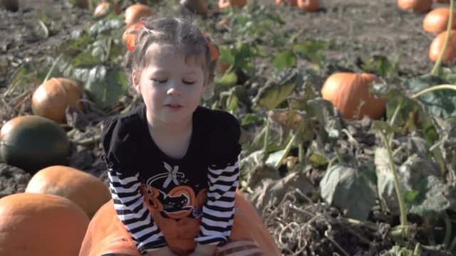 Slow motion. Toddler girl in cute Halloween dress looking for perfect pumpkin at the pumpkin patch