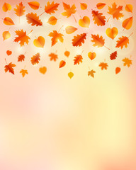 Autumn background with leaves.