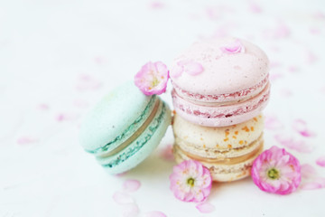 Macaron or macaroon french coockie on white textured with spring sakura flowers, pastel colors.