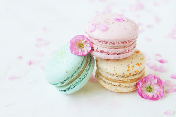 Obraz na płótnie Canvas Macaron or macaroon french coockie on white textured with spring sakura flowers, pastel colors.