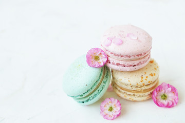 Macaron or macaroon french coockie on white textured with spring sakura flowers, pastel colors.