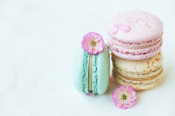 Macaron or macaroon french coockie on white textured with spring sakura flowers, pastel colors.