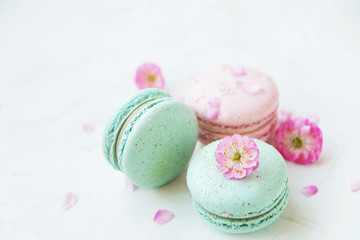 Fototapeta na wymiar Macaron or macaroon french coockie on white textured with spring sakura flowers, pastel colors.