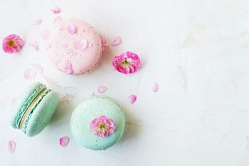 Macaron or macaroon french coockie on white textured with spring sakura flowers, pastel colors.
