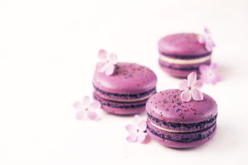 Obraz na płótnie Canvas Macaron or macaroon french coockie on white textured background with spring lila flowers, pastel colors. 