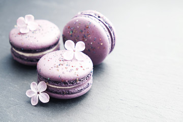 Purple macaroons on graphite table. Sweet macarons. Top view with copy space for your text.