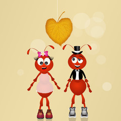 illustration of ants spouses