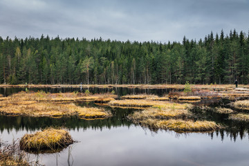 Small fly fishing lake in Sweden