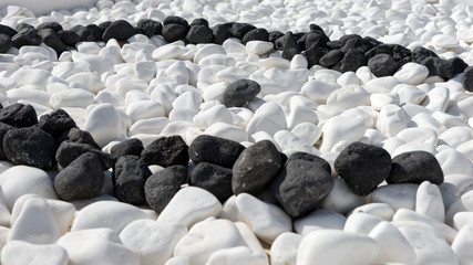Fototapeta premium Many white and black round stones as background
