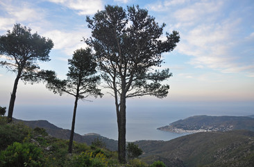 The trees and evening landscapes of Spain - the sea, mountains, fields, valleys, villages