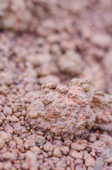 Dirt road rocks near close up