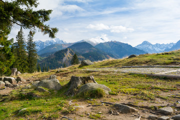beautiful meadow in Tatra mountains - Rusinowa Polana in Poland © lukaszimilena