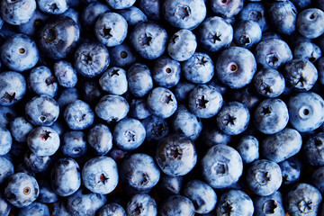 Blueberry background. Ripe and juicy fresh picked bilberries close up.Top view or flat lay.