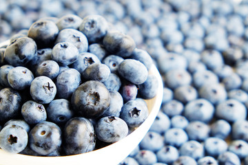 Freshly picked blueberries backgrond. Blueberry background. Blueberries on white background top view, flat lay pattern.