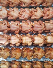 grilled chicken