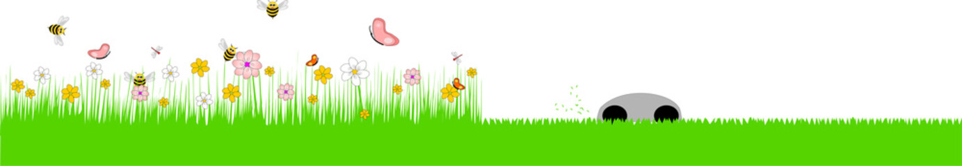 Bunte Blumenwiese mit Insekten vs. Mähroboter / Rasenmäher