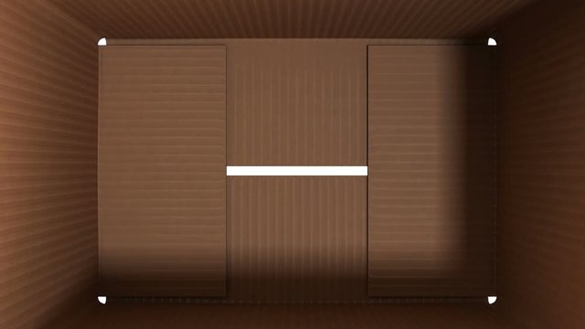 Open cardboard box on white background
