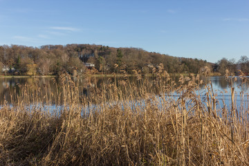 Ansicht Weßling, Weßlinger See