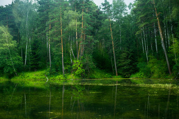 Beautiful pond with clear water in the forest