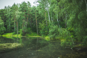 Fototapeta na wymiar Beautiful pond with clear water in the forest