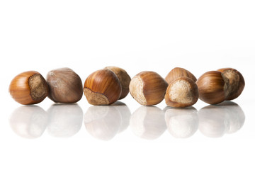 hazelnuts isolated on white