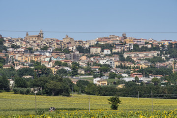 Obraz premium Summer landscape in Marches (Italy) near Castelfidardo